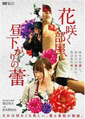 免费片子 肖申克的救赎